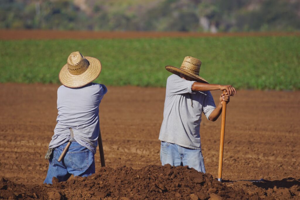 agriculture